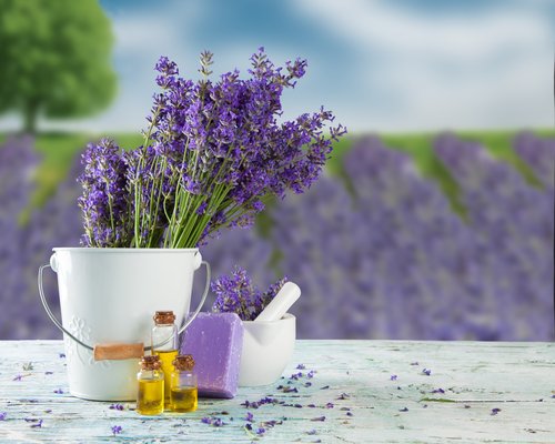 Lavender Essential Oil and Flowers