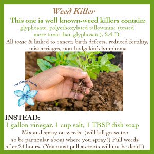 Weed Killer Alternatives