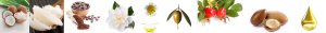 Coffee Facial Scrub Ingredients