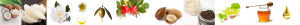 Exfoliating Facial Scrub Ingredients