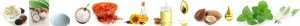 Foot Exfoliator Ingredients